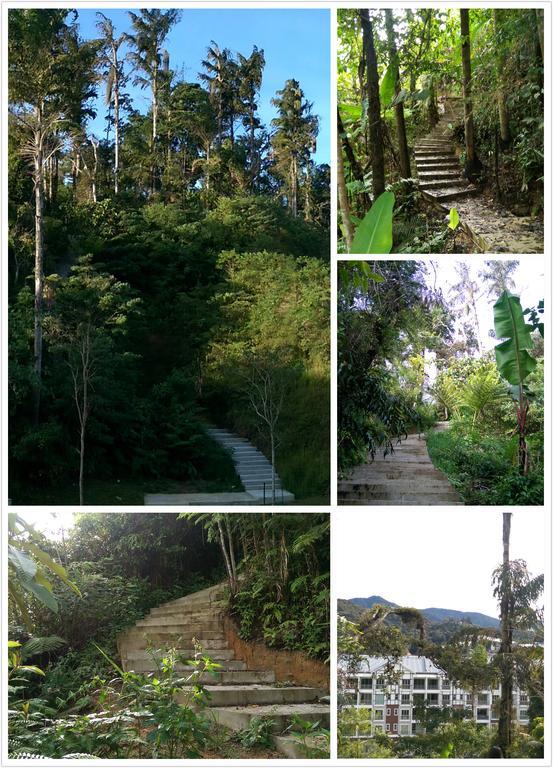 Strawberry Homestay Cameron Highlands Exterior photo